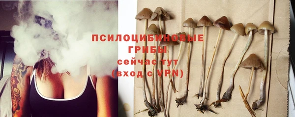 хмурый Алексеевка