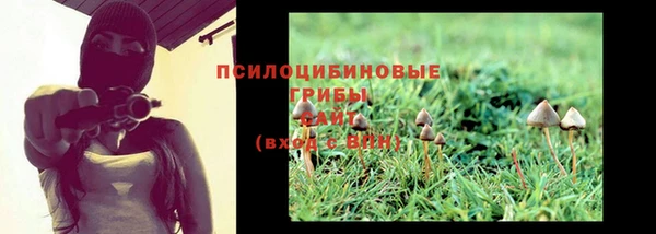 прущие крисы Алзамай