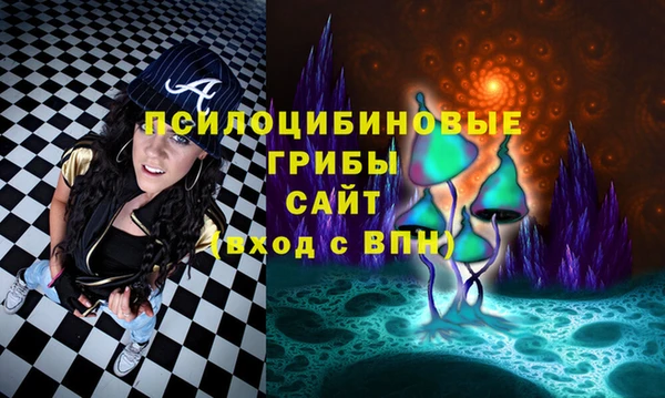 хмурый Алексеевка