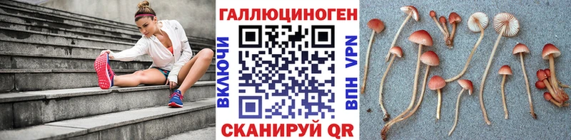 как найти наркотики  Ачинск  Псилоцибиновые грибы ЛСД 